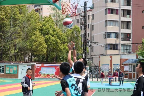 篮球协调训练的成功案例分析_2